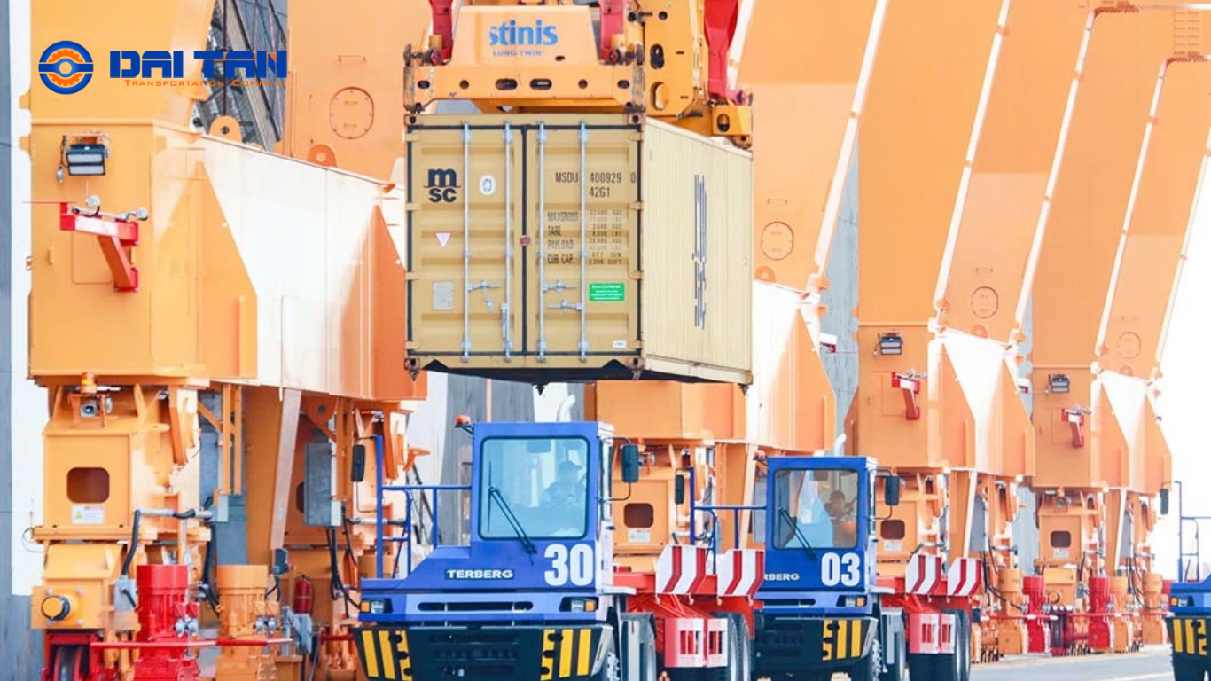 hoạt động tại MSC