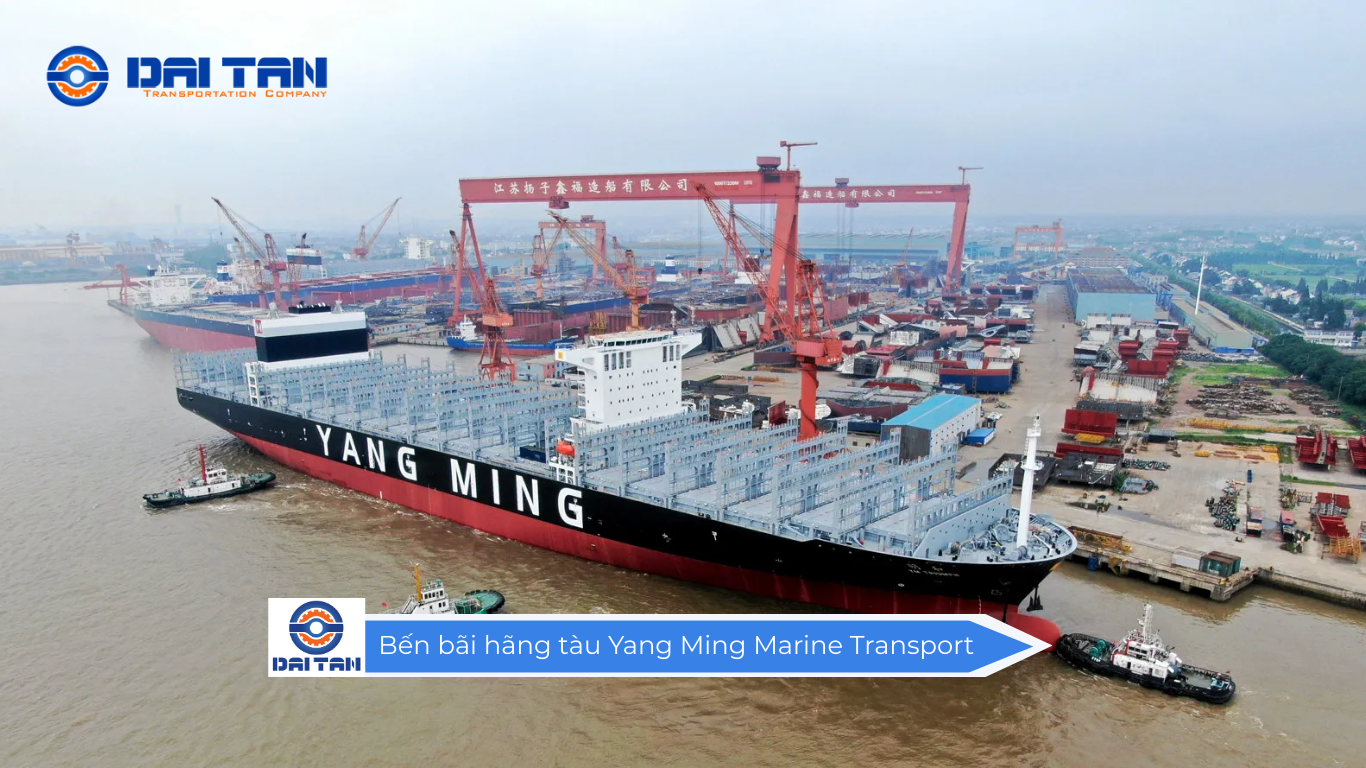          Bến bãi hãng tàu Yang Ming Marine Transport