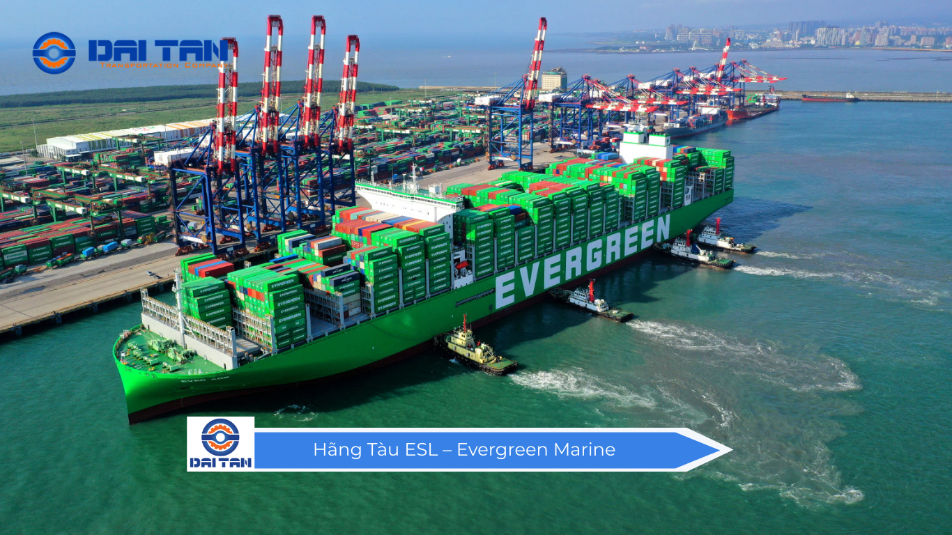 Hãng Tàu ESL – Evergreen Marine