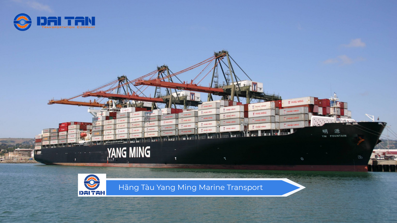 Hãng Tàu Yang Ming Marine Transport