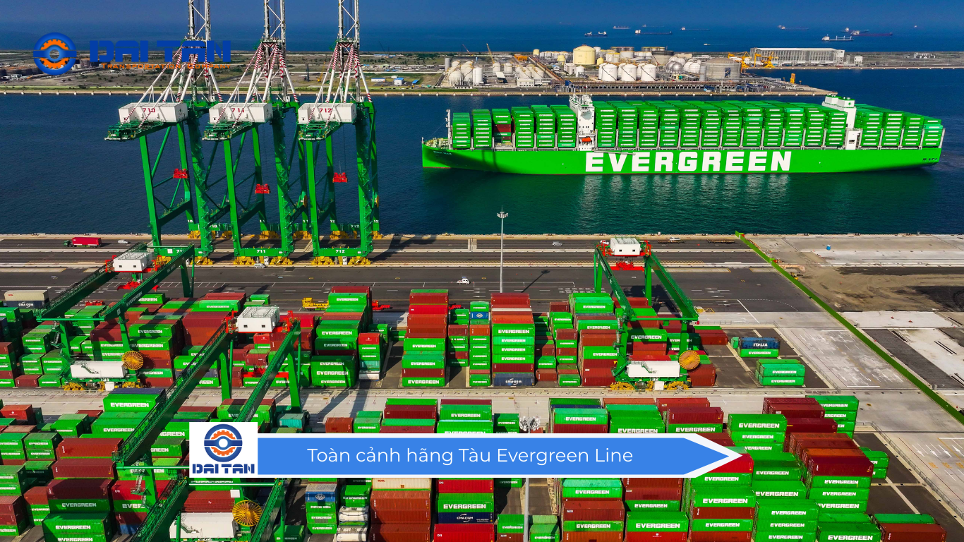       Toàn cảnh hãng Tàu Evergreen Line