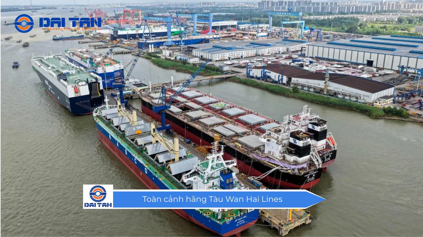 Toàn cảnh hãng Tàu Wan Hai Lines