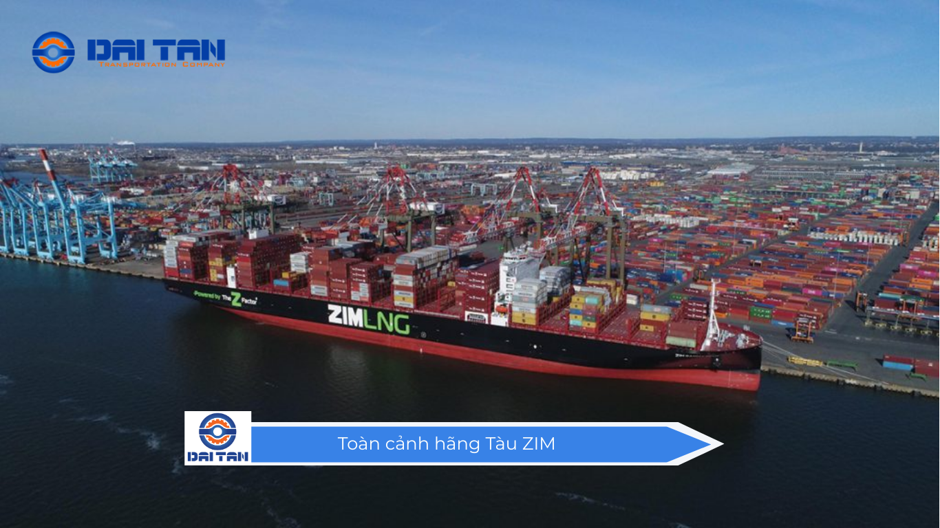  Toàn cảnh hãng Tàu ZIM 