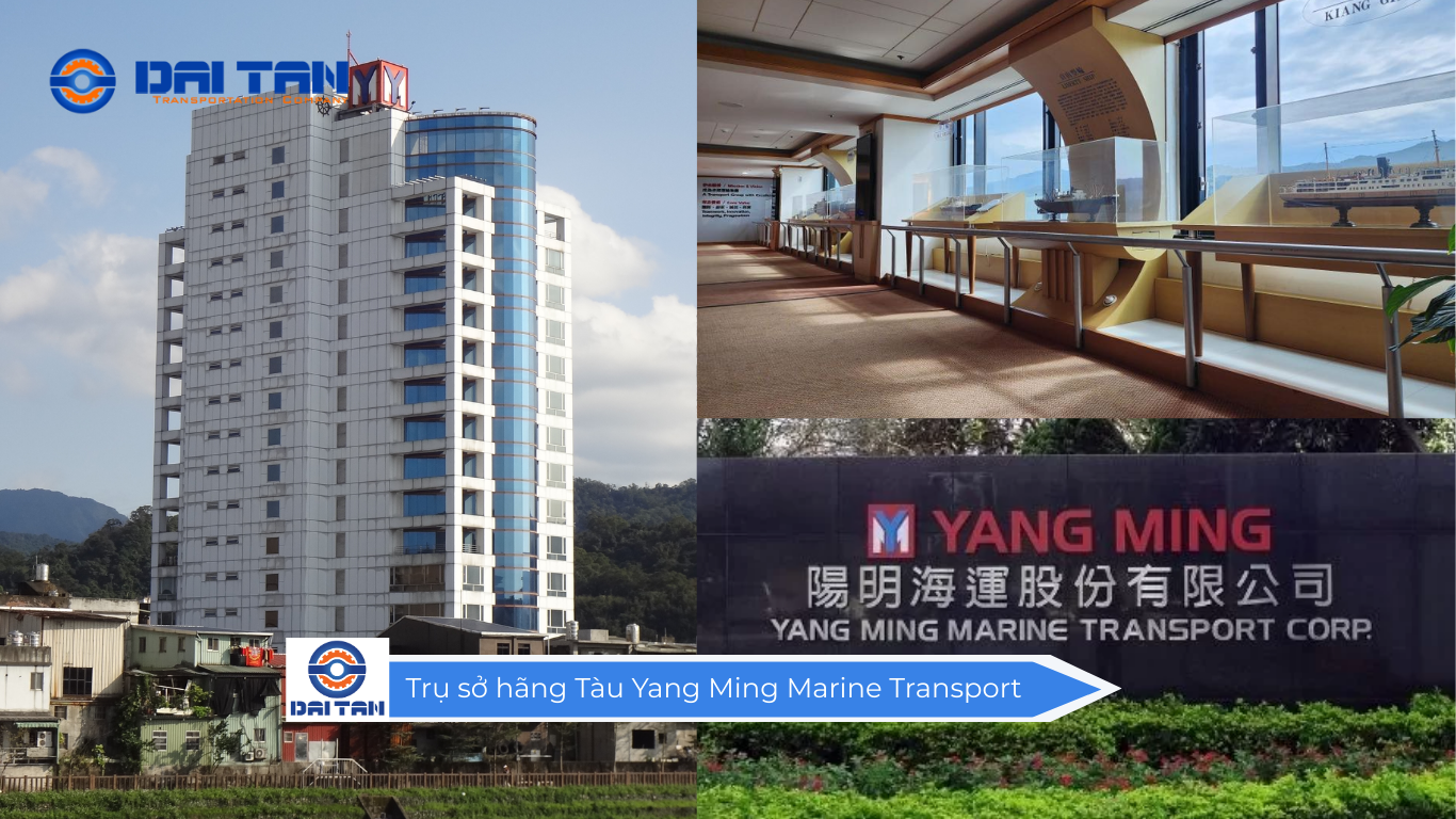        Trụ sở hãng Tàu Yang Ming Marine Transport