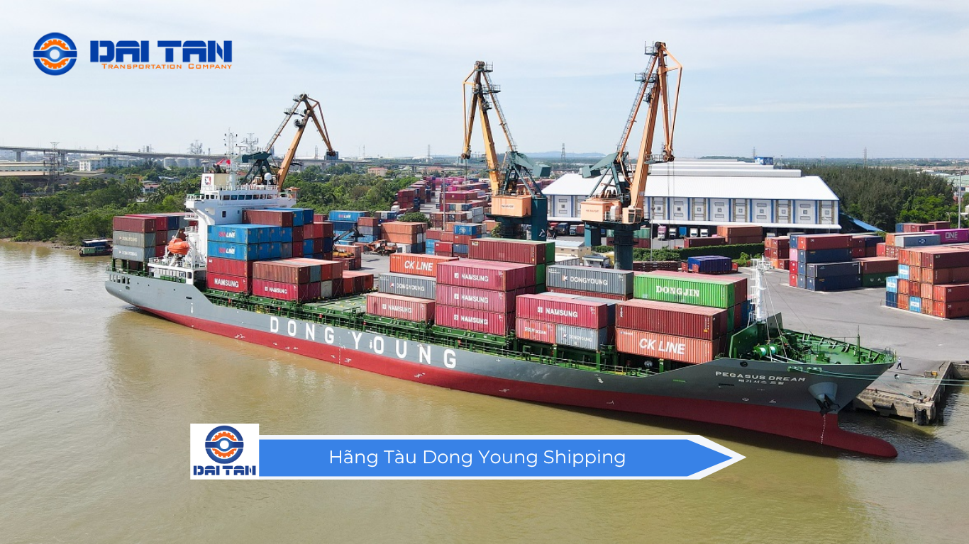 Hãng Tàu Dong Young Shipping